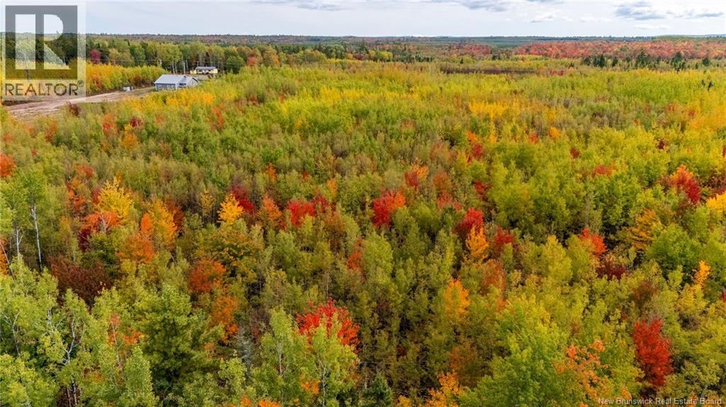 21-3 Middlesex, Colpitts Settlement, New Brunswick E4J 1G7 - Photo 34 - NB127433