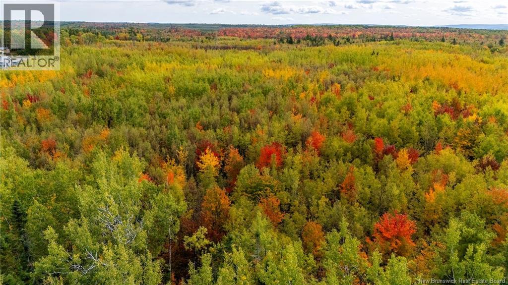 21-3 Middlesex, Colpitts Settlement, New Brunswick E4J 1G7 - Photo 35 - NB127433