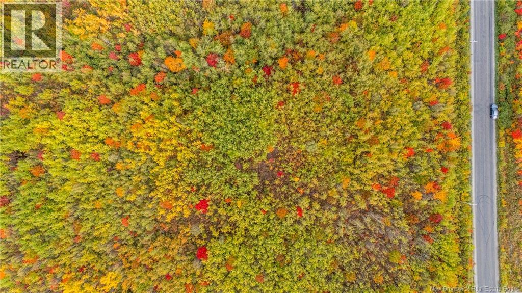 21-3 Middlesex, Colpitts Settlement, New Brunswick E4J 1G7 - Photo 39 - NB127433