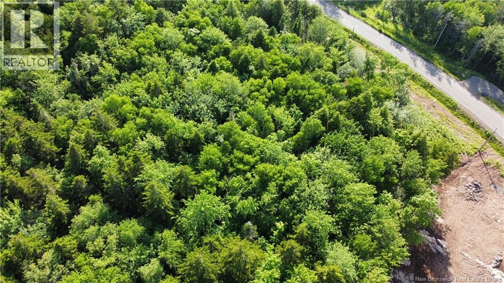 Lot 21-56 Orchard Avenue, Irishtown, New Brunswick  E1H 0J5 - Photo 5 - NB127473
