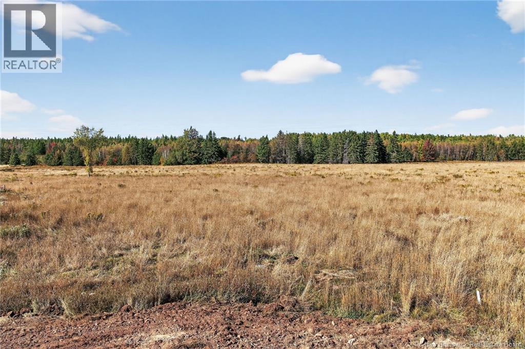 75 Harrington Road, Steeves Mountain, New Brunswick  E1G 3X5 - Photo 44 - NB127437