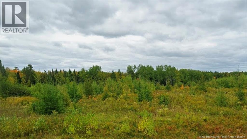Lot North Black River Road, Black River Bridge, New Brunswick