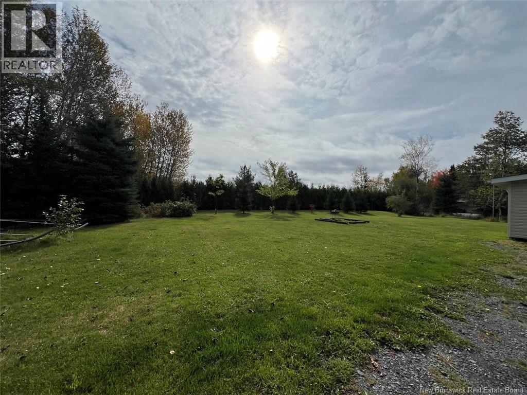 30 Hubert Street, Edmundston, New Brunswick  E3V 0B6 - Photo 45 - NB127424