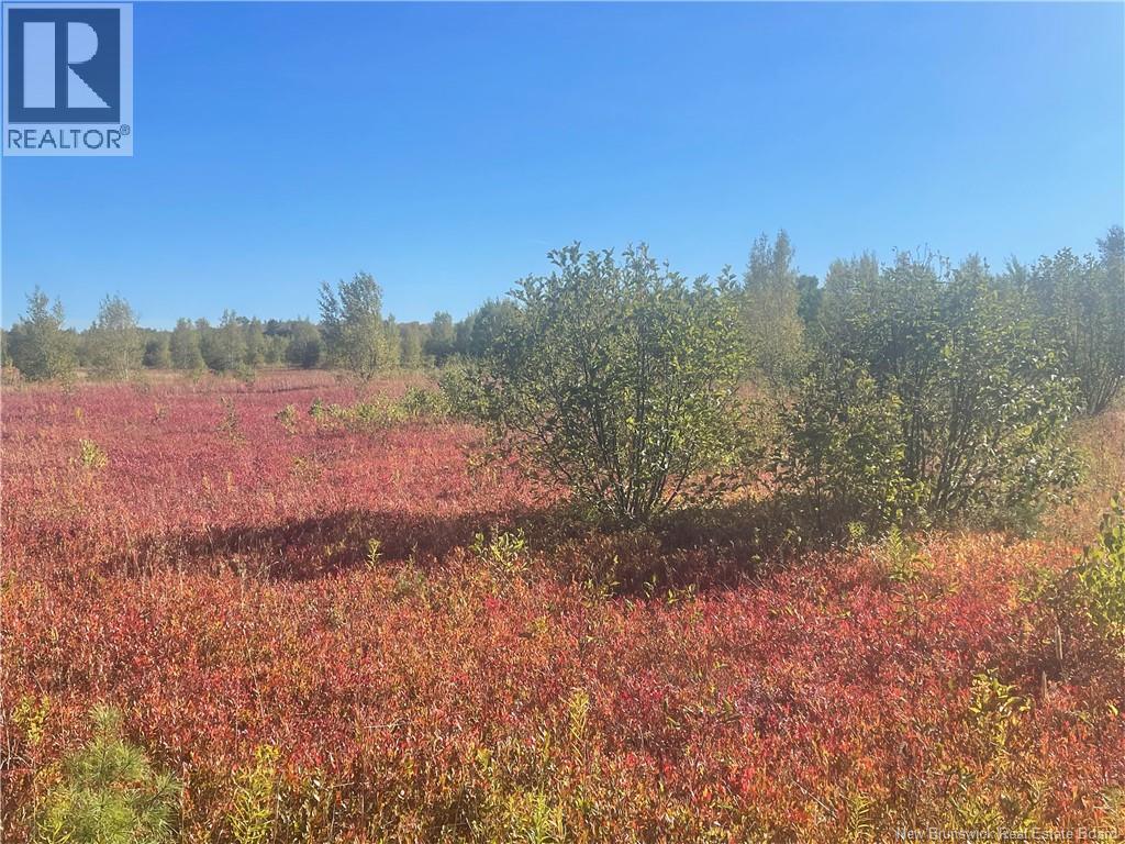 525 Tilley Road, Tilley Road, New Brunswick  E8M 1R9 - Photo 7 - NB127478