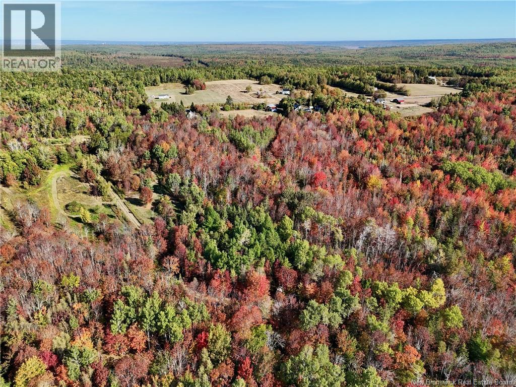 591 Dawson Settlement Road, Hillsborough, New Brunswick  E4H 2Z1 - Photo 2 - NB127226