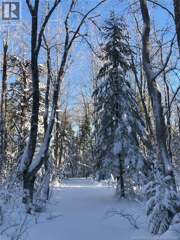 591 Dawson Settlement Road, Hillsborough, New Brunswick  E4H 2Z1 - Photo 50 - NB127226