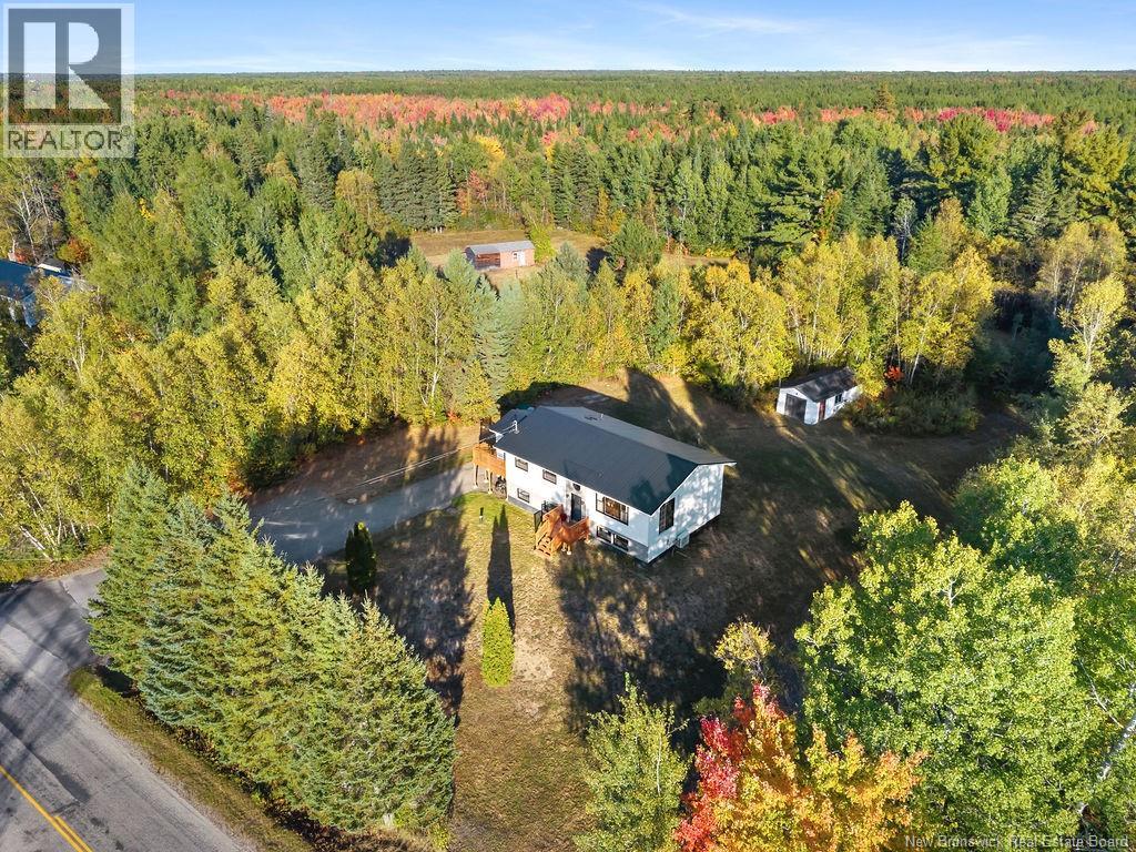 153 Weldfield-Collette Road, Napan, New Brunswick  E1N 5H1 - Photo 32 - NB127425