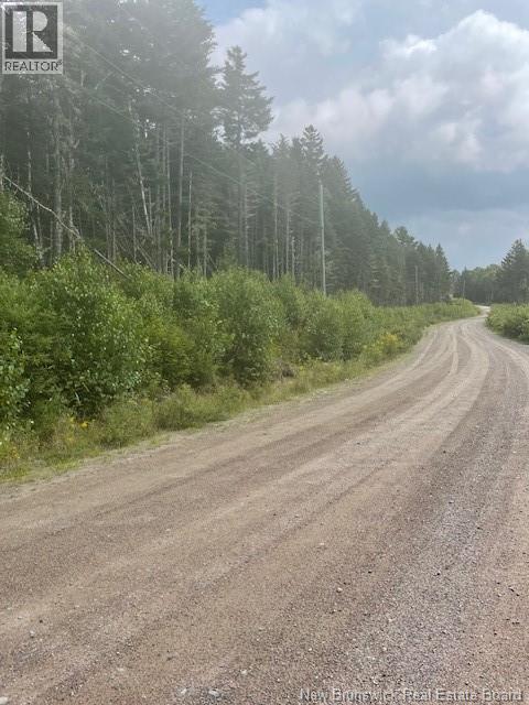 000 Maxwell Road, Bonny River, New Brunswick  E5C 1C6 - Photo 3 - NB127514