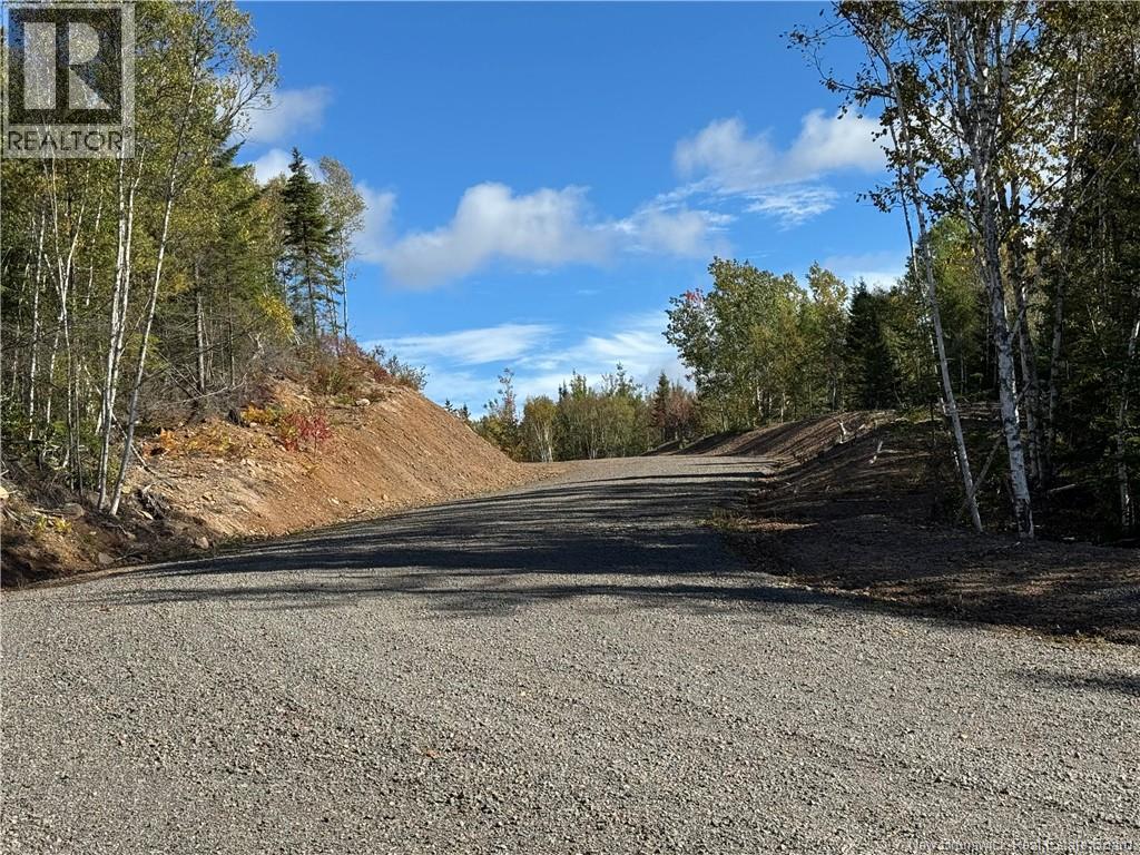 Lot Rue Principale, Memramcook, New Brunswick  E4K 1A8 - Photo 3 - NB127485