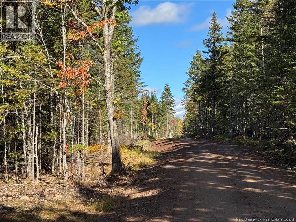 Lot Rue Principale, Memramcook, New Brunswick  E4K 1A8 - Photo 5 - NB127485