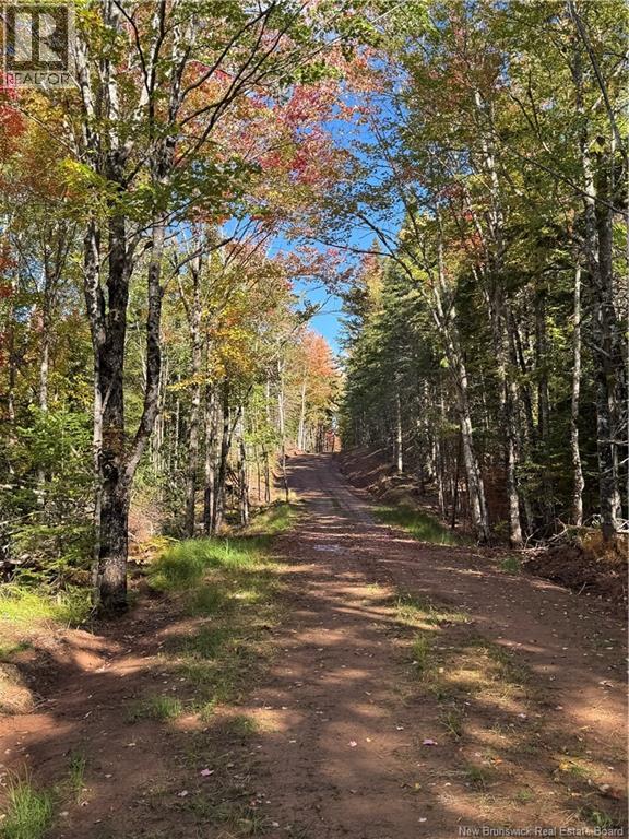 Lot Rue Principale, Memramcook, New Brunswick  E4K 1A8 - Photo 6 - NB127485