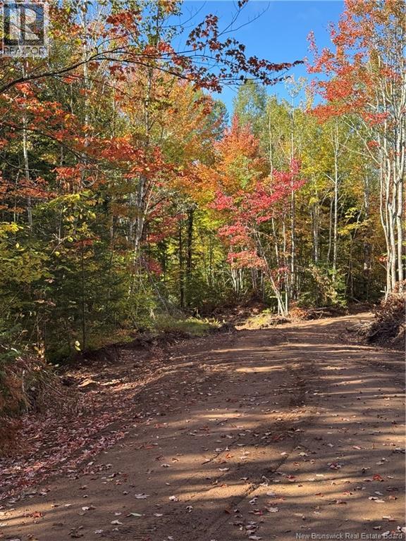 Lot Rue Principale, Memramcook, New Brunswick  E4K 1A8 - Photo 7 - NB127485