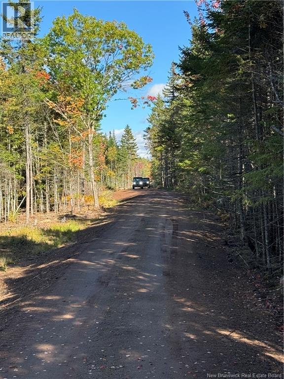 Lot Rue Principale, Memramcook, New Brunswick  E4K 1A8 - Photo 8 - NB127485