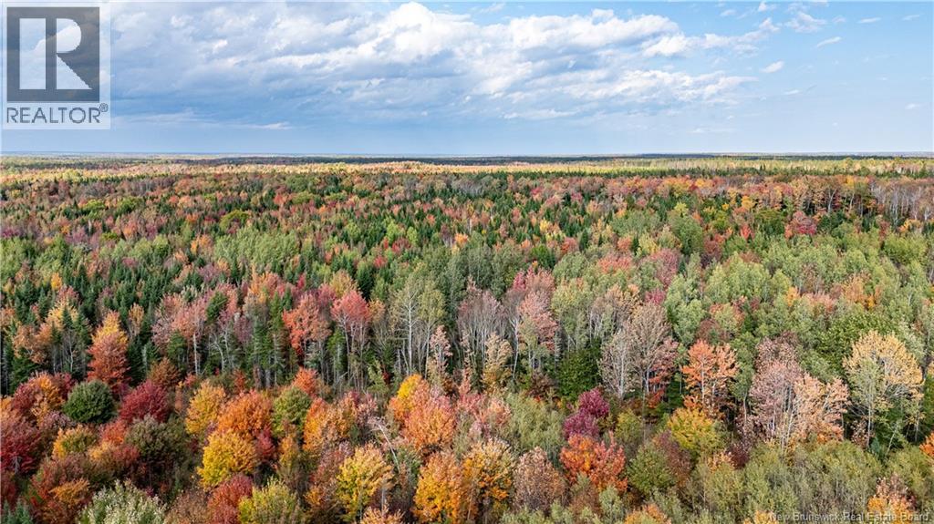 Lot Cormier Village Road, Saint-Paul, New Brunswick  E4T 3H3 - Photo 12 - NB127555