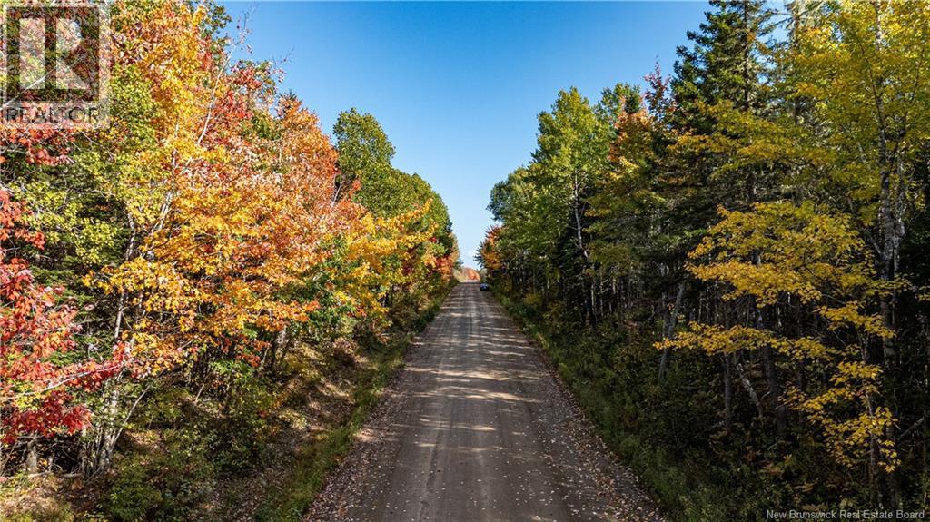 Lot Cormier Village Road, Saint-Paul, New Brunswick  E4T 3H3 - Photo 13 - NB127555