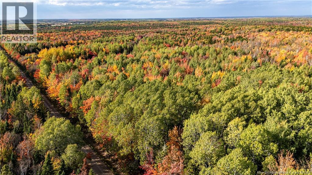 Lot Cormier Village Road, Saint-Paul, New Brunswick  E4T 3H3 - Photo 14 - NB127555