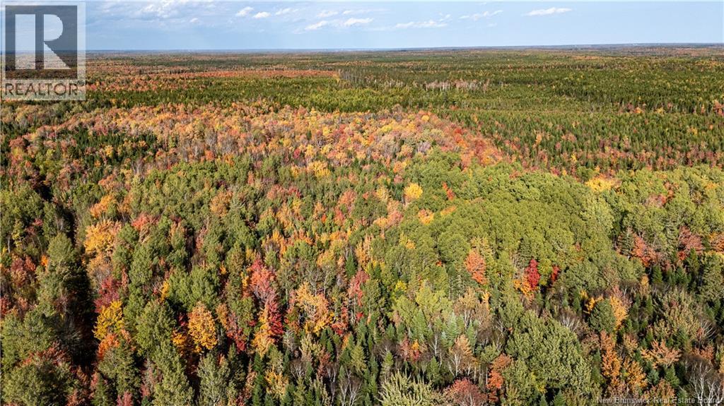Lot Cormier Village Road, Saint-Paul, New Brunswick  E4T 3H3 - Photo 18 - NB127555