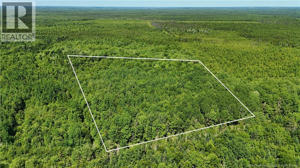 Lot Cormier Village Road, Saint-Paul, New Brunswick  E4T 3H3 - Photo 7 - NB127555