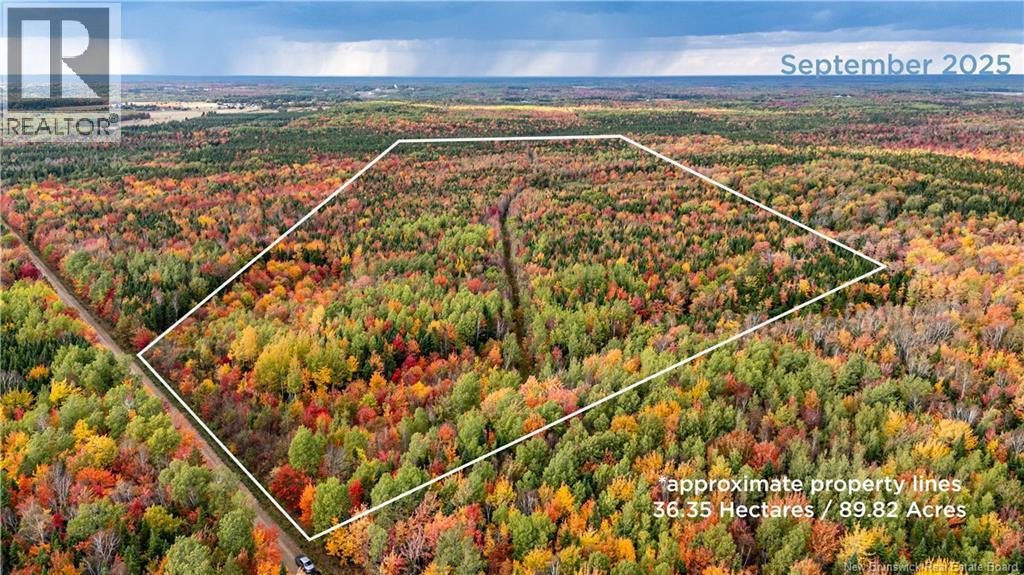 90 Acres Cormier Village Road, Saint-Paul, New Brunswick