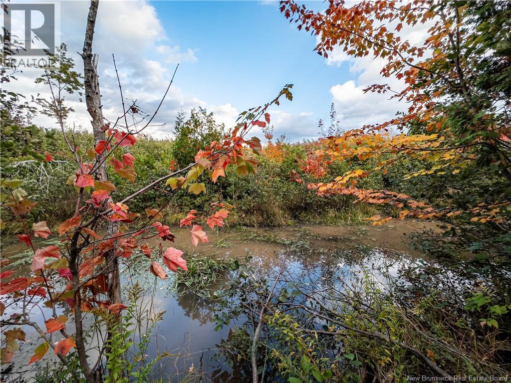 90 Acres Cormier Village Road, Saint-Paul, New Brunswick  E4T 3H3 - Photo 15 - NB127554
