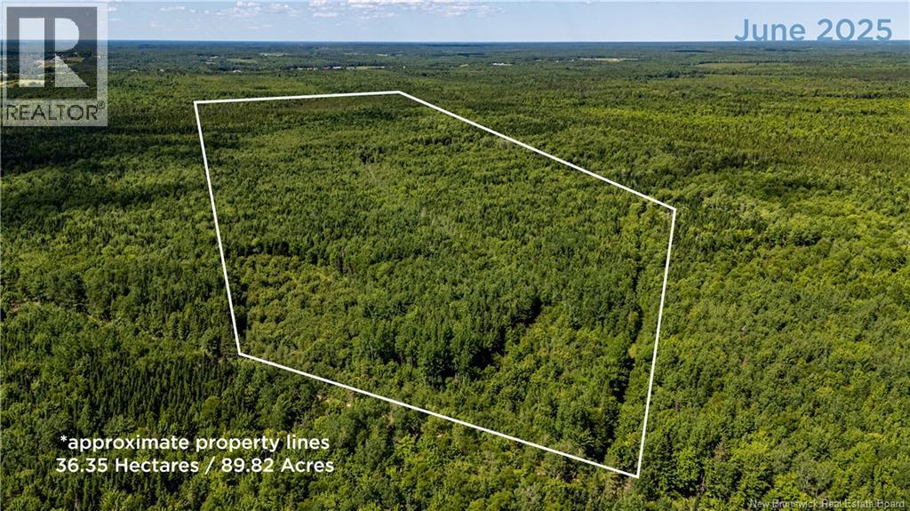 90 Acres Cormier Village Road, Saint-Paul, New Brunswick  E4T 3H3 - Photo 16 - NB127554