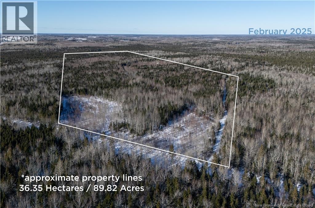90 Acres Cormier Village Road, Saint-Paul, New Brunswick  E4T 3H3 - Photo 17 - NB127554