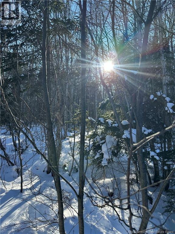 90 Acres Cormier Village Road, Saint-Paul, New Brunswick  E4T 3H3 - Photo 18 - NB127554