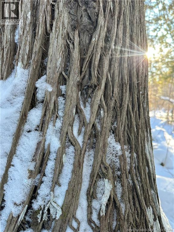 90 Acres Cormier Village Road, Saint-Paul, New Brunswick  E4T 3H3 - Photo 19 - NB127554