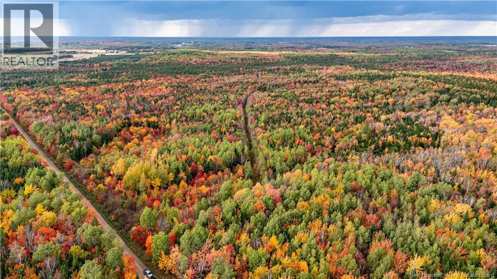90 Acres Cormier Village Road, Saint-Paul, New Brunswick  E4T 3H3 - Photo 20 - NB127554