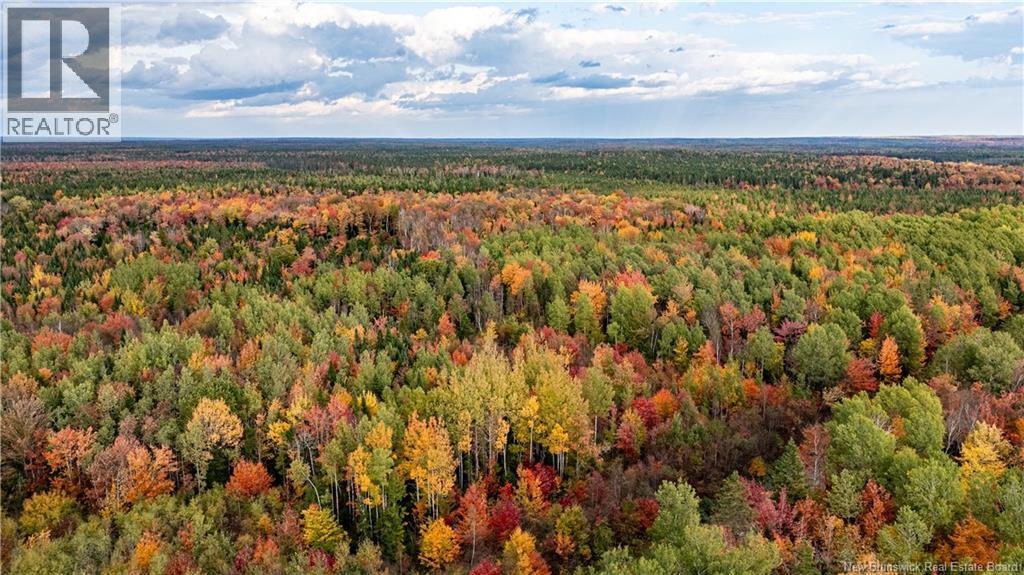 90 Acres Cormier Village Road, Saint-Paul, New Brunswick  E4T 3H3 - Photo 21 - NB127554