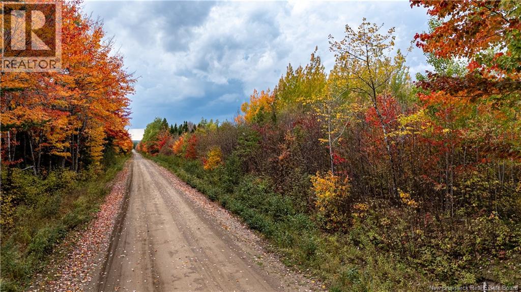 90 Acres Cormier Village Road, Saint-Paul, New Brunswick  E4T 3H3 - Photo 23 - NB127554