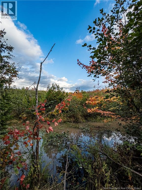 90 Acres Cormier Village Road, Saint-Paul, New Brunswick  E4T 3H3 - Photo 24 - NB127554
