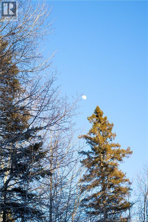 90 Acres Cormier Village Road, Saint-Paul, New Brunswick  E4T 3H3 - Photo 26 - NB127554