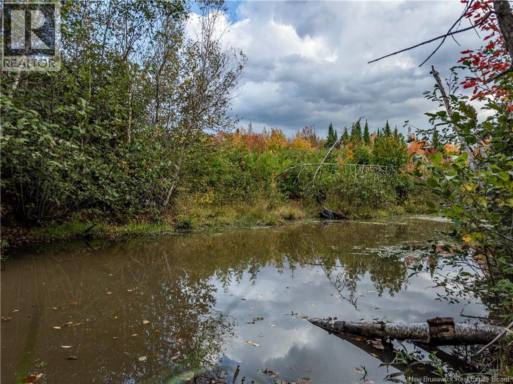 90 Acres Cormier Village Road, Saint-Paul, New Brunswick  E4T 3H3 - Photo 27 - NB127554