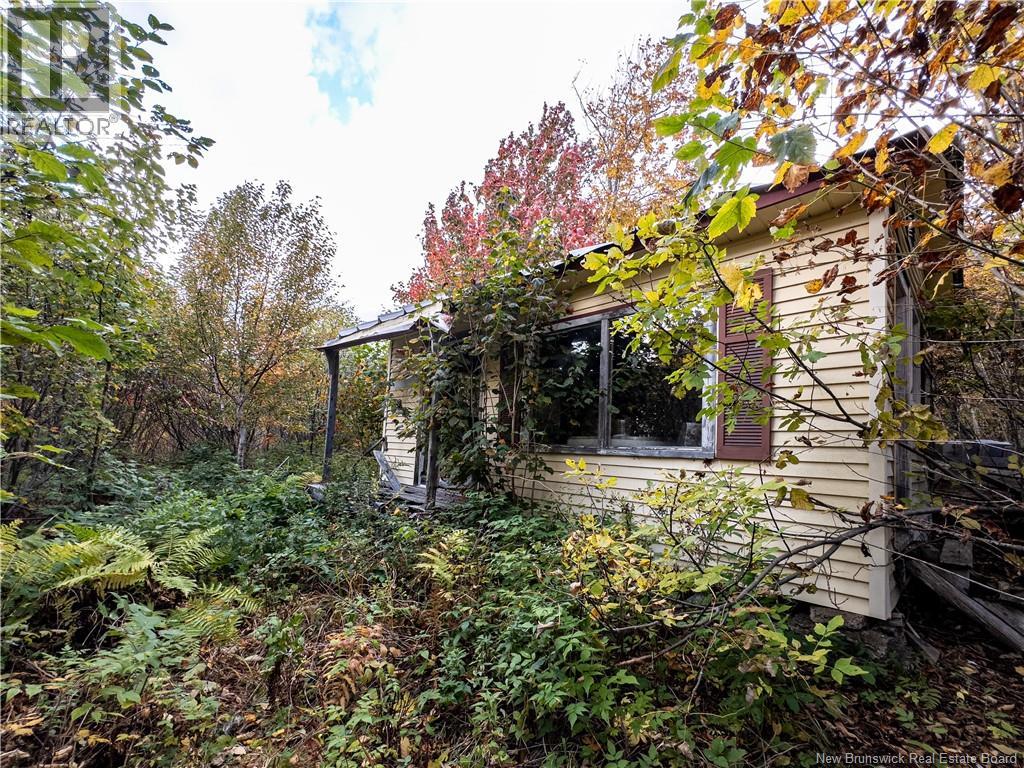 90 Acres Cormier Village Road, Saint-Paul, New Brunswick  E4T 3H3 - Photo 28 - NB127554