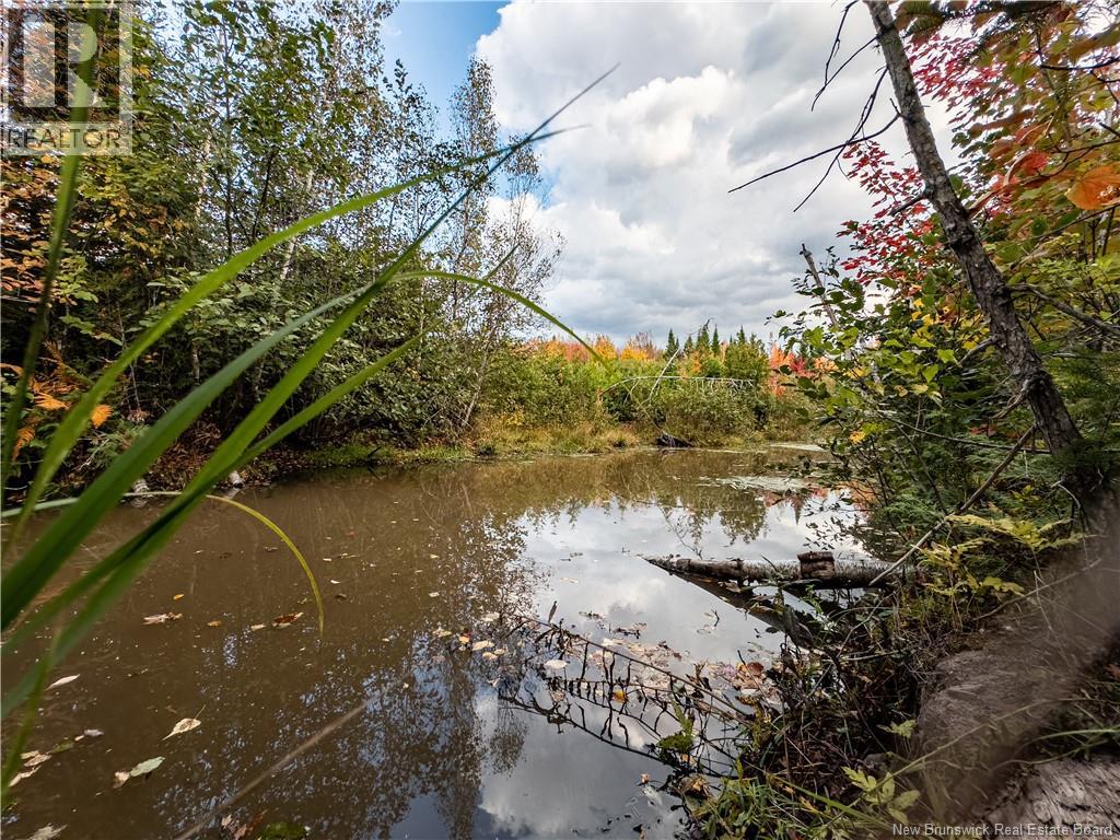 90 Acres Cormier Village Road, Saint-Paul, New Brunswick  E4T 3H3 - Photo 3 - NB127554