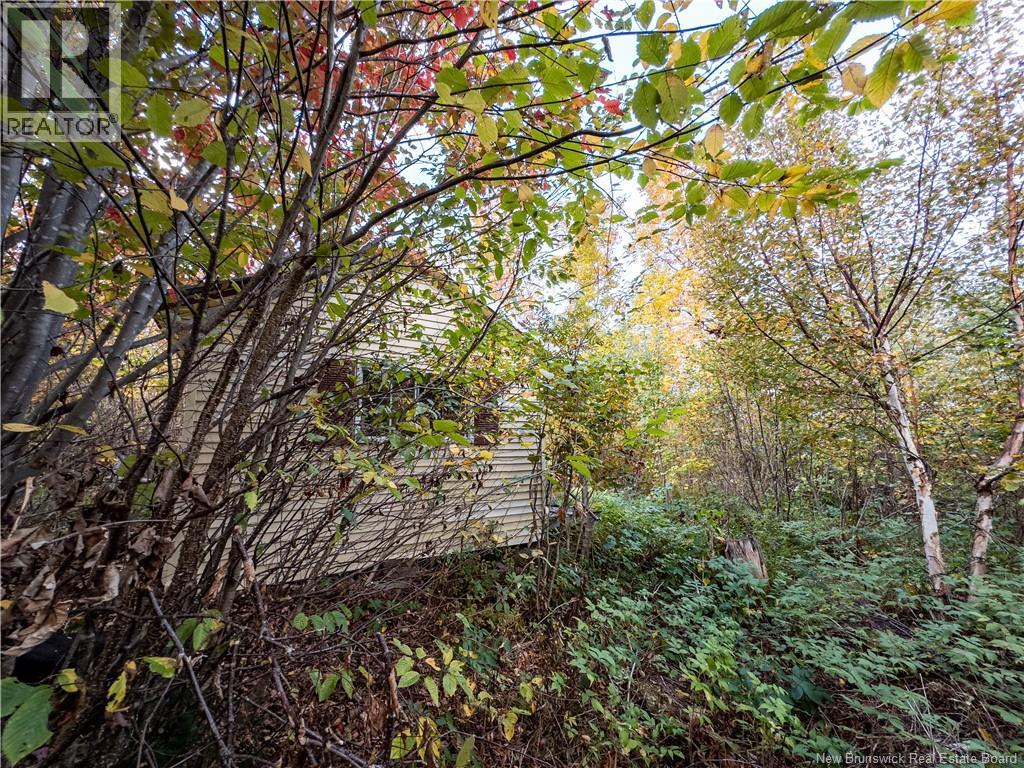 90 Acres Cormier Village Road, Saint-Paul, New Brunswick  E4T 3H3 - Photo 30 - NB127554