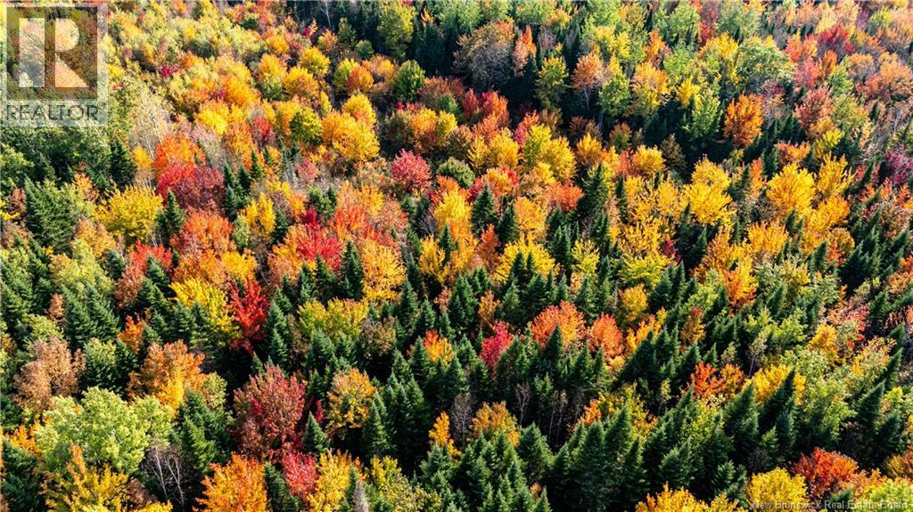 90 Acres Cormier Village Road, Saint-Paul, New Brunswick  E4T 3H3 - Photo 36 - NB127554