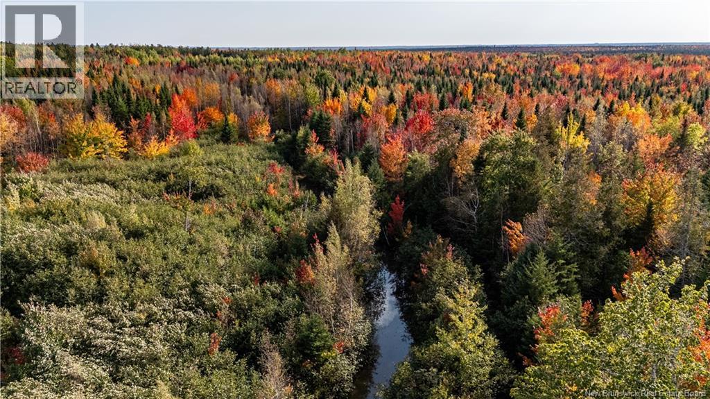 90 Acres Cormier Village Road, Saint-Paul, New Brunswick  E4T 3H3 - Photo 37 - NB127554
