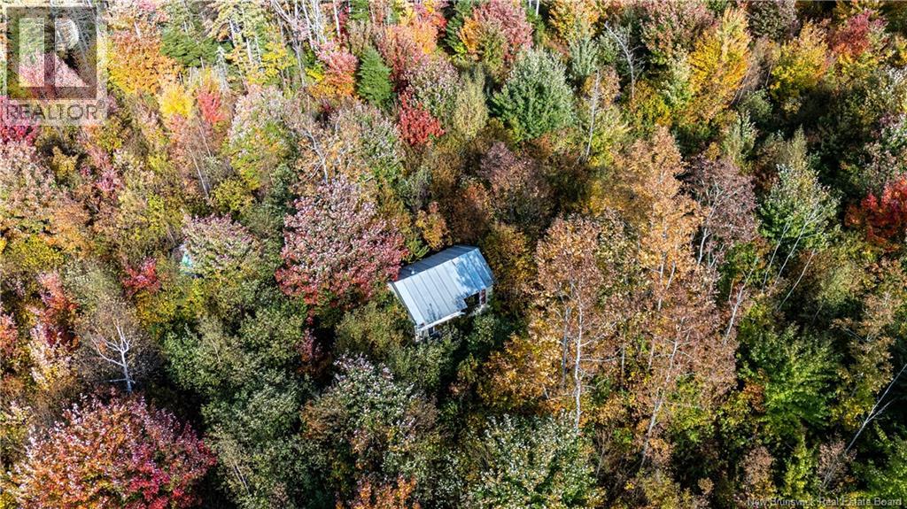 90 Acres Cormier Village Road, Saint-Paul, New Brunswick  E4T 3H3 - Photo 38 - NB127554