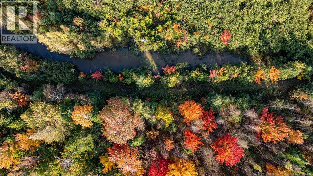 90 Acres Cormier Village Road, Saint-Paul, New Brunswick  E4T 3H3 - Photo 39 - NB127554