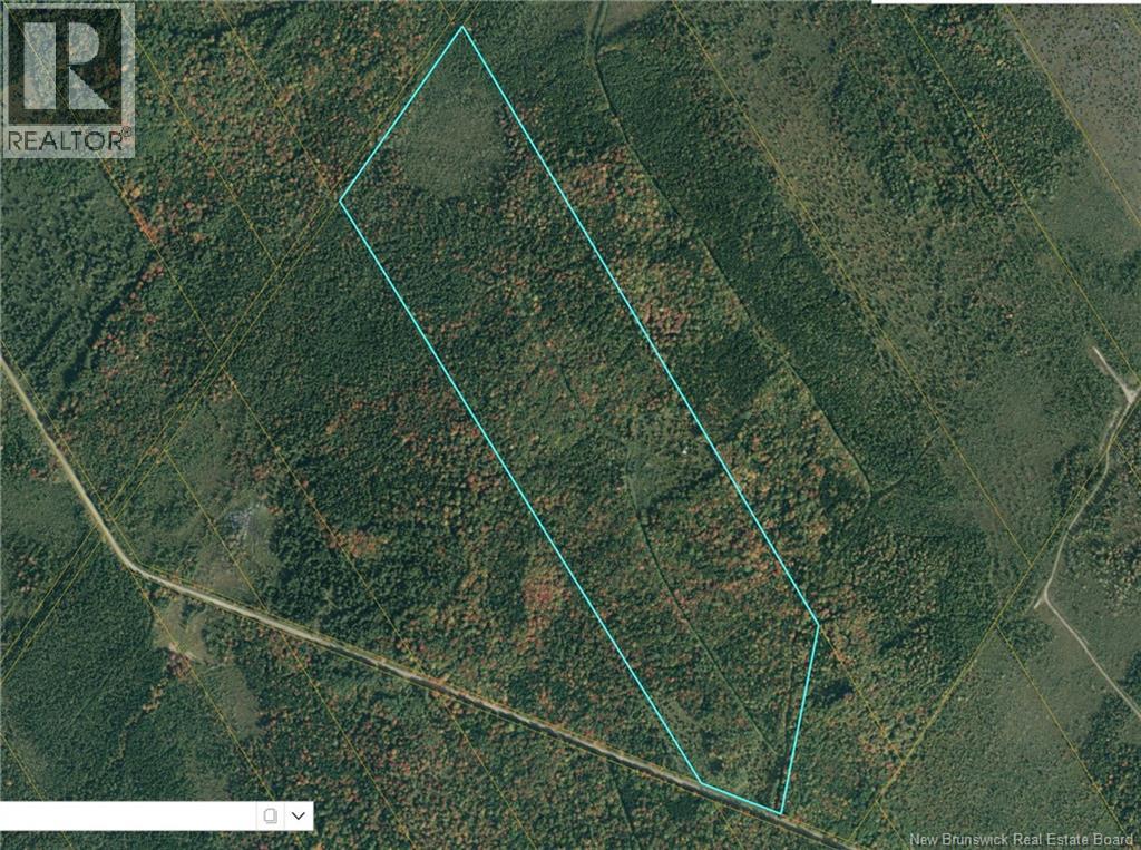 90 Acres Cormier Village Road, Saint-Paul, New Brunswick  E4T 3H3 - Photo 4 - NB127554