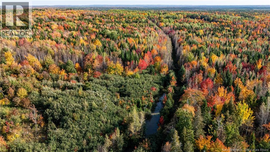 90 Acres Cormier Village Road, Saint-Paul, New Brunswick  E4T 3H3 - Photo 41 - NB127554