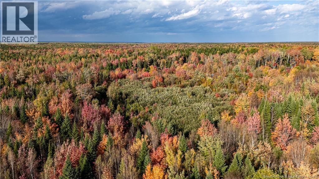 90 Acres Cormier Village Road, Saint-Paul, New Brunswick  E4T 3H3 - Photo 42 - NB127554