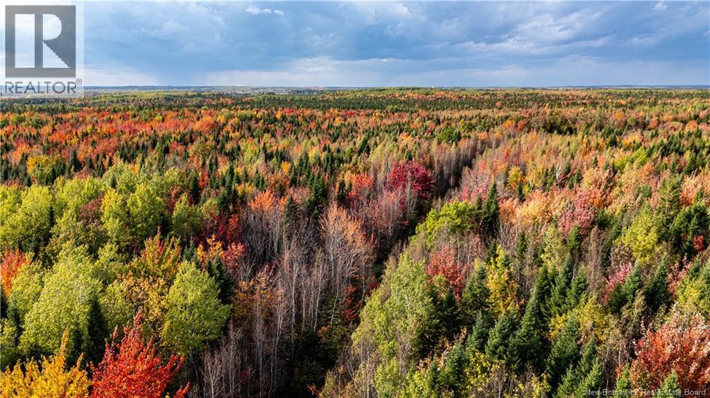 90 Acres Cormier Village Road, Saint-Paul, New Brunswick  E4T 3H3 - Photo 43 - NB127554