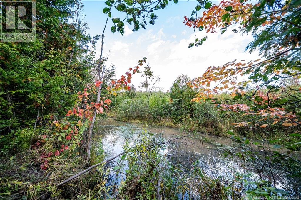 90 Acres Cormier Village Road, Saint-Paul, New Brunswick  E4T 3H3 - Photo 44 - NB127554