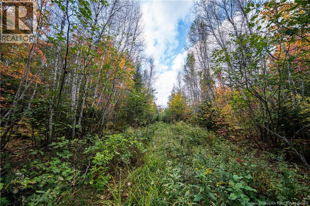 90 Acres Cormier Village Road, Saint-Paul, New Brunswick  E4T 3H3 - Photo 45 - NB127554