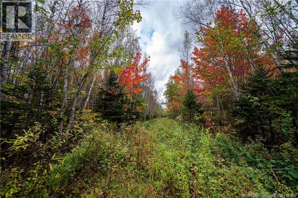 90 Acres Cormier Village Road, Saint-Paul, New Brunswick  E4T 3H3 - Photo 46 - NB127554