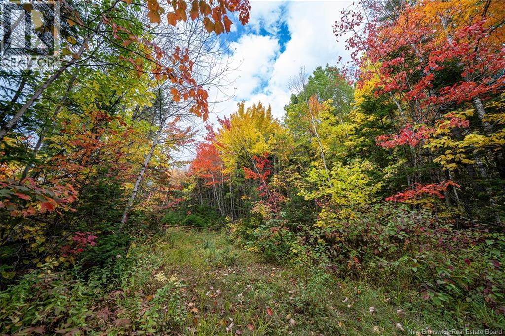 90 Acres Cormier Village Road, Saint-Paul, New Brunswick  E4T 3H3 - Photo 47 - NB127554