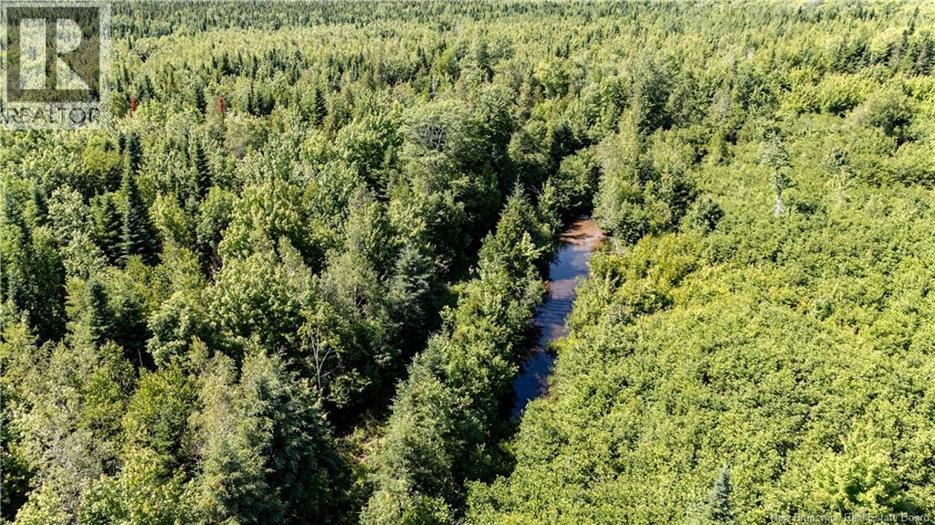90 Acres Cormier Village Road, Saint-Paul, New Brunswick  E4T 3H3 - Photo 48 - NB127554